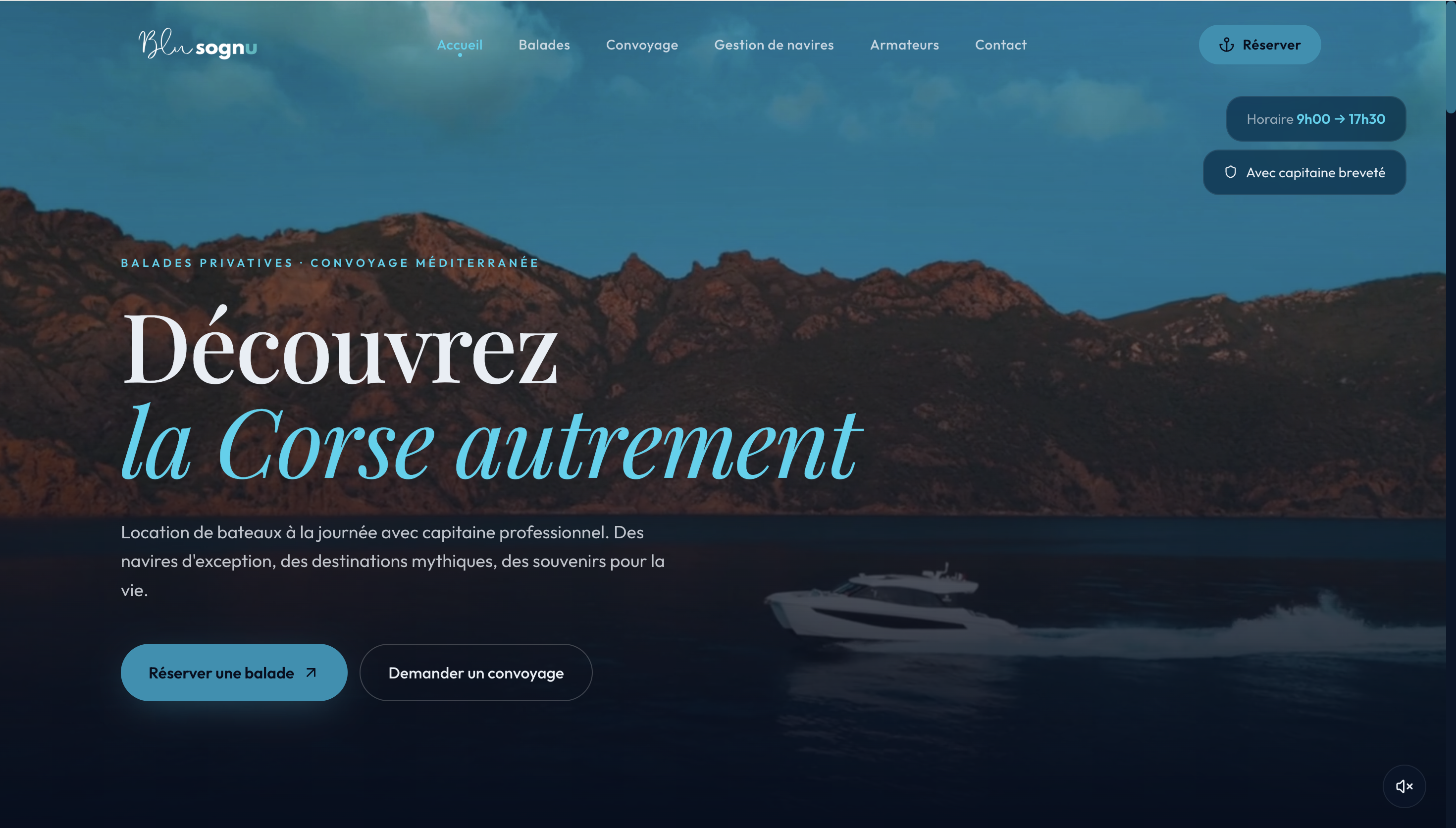 blusognu.com